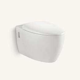 Washdown Wall-Hung Closet - Tomato